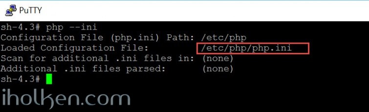 PHP CLI path